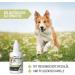 Reavet Ear Mite Oil Plus 50ml | Effective Ear Mite Remedy for Dogs with Chamomile - Soothing Ear Drops & Cleaners - Buy Online on GoSupps.com