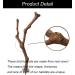 Natural Wood Bird Cage Platforms - Ockyunoo 2 Piece Set | Perfect Bird Seat Rods & Bubble Rods for Nymphensittich - Buy Online on GoSupps.com