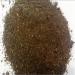 Organic Neem Powder - 250g Pack - Azadirachta Indica Herbal Powder for Skin and Hair - Pure Neem Giri for Ayurvedic Remedies - Buy Online on GoSupps.com