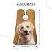 Golden Retriever Beard Bib | Hair Catcher for Men | Perfect Gift for Father's Day Anniversary Valentine's & Christmas - Buy Online on GoSupps.com