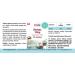 Biotine 10mg - 200 comprim s - D-Biotine - Dosage lev - Biodisponible - Qualit allemande - ViVe Supplements - Buy Online on GoSupps.com