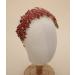 Sither Bridal Crystal Headband for Wedding Party Silver Large Crystal Headpiece Hair Accessories for Bride Hair Clips for Prom Party Gift (red)