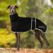 Greyhound rain coat light waterproof greyhound coat waterproof whippet rain coat greyhound summer winter dog coats for ambiguous for medium-sized and large dogs (S black) S black