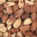 Flamingo Peanuts Peanuts for Wild Birds 5 kg - Premium Fresh Food - - Buy Online on GoSupps.com