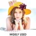 10 Pieces Artificial Tropical Flower Clips 10 Pieces U-Shaped Clips Flower Hair Accessories Orchid Hair Clips Floral Hair Clips Hawaiian Hair Flowers Flower Hair Cards - Buy Online on GoSupps.com