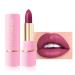 Waterproof Matte Lip Gloss for Women Long Lasting Smudge-Proof Matte Lipstick Makeup Pigments Cup Matte Lipstick Moisturizing Brown Pigments