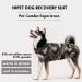 Buy Hipet Recovery Suit for Dogs & Cats - Post-Op Wound Protection E-Collar Alternative XXXL Camouflage - Buy Online on GoSupps.com