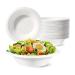 dinio Paper Bowls Bowls 50 Pack Sugarcane Bowls Compostable Soup Bowls for Hot BBQ Picnic 680Ml
