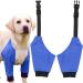 Dog Front Leg Brace 1 Pair Dog Joint Protective Cover Stain-Resistant Pet Recovery Knee Pad for Medium Dog Breathable Wear-Resistant Blue S - Buy Online on GoSupps.com