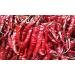 Dried Andhra Chillies/Sigappu Milagai/Organic Dry Red Chillies 1000g - Buy Online on GoSupps.com