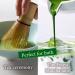 Premium Ceremonial Matcha Green Tea Powder from Japan -KIMIKURA Matcha | Japanese Tea KIMIKURA (30g tin) - Buy Online on GoSupps.com
