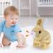 ZBATHTOY Jumping Rabbit Toy for 0-36 Months | Interactive Electronic Toy for Kids | Ideal Gift for Boys and Girls Ages 1-5 - Buy Online on GoSupps.com
