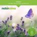 Baldrian (Valeriana officinalis) Roots Tincture | Naturalma 200ml - Vegan Non-Alcoholic Dietary Supplement - Buy Online on GoSupps.com