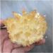 Natural Crystals Quartz Freeform Reiki Stones Room Home Office Aquarium Decoration Accessories Gemstone Beautiful (Size : 400-450g) HOMEZHOU (Size : 400-450g) - Buy Online on GoSupps.com