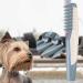 PopetPop Electric Fabric Razor Brush for Dogs & Cats | Quick Grooming Tool & Trimmer | International Shipping Available - Buy Online on GoSupps.com