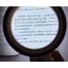 30 Times Portable Light Magnifying Glass 100mm Large Optical Lens High-Definition Lightweight for Viewing Books Newspapers Macular Degeneration Made in China - Buy Online on GoSupps.com