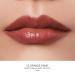 Oulac 2-in-1 Lipstick & Lip Balm - Juicy Shiny Lip Care for Smooth Hydrated Lips | Vegan Plummy Terracotta - Buy Online on GoSupps.com