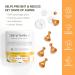 Skinworks Ultra Potent 30% Vitamin C Serum for Face - Brightening Dark Spots, Anti-Wrinkle & Anti-Aging Formula with Vitamin E, Ferulic Acid - Unscented 0.61 Fl Oz (BIODEGRADABLE) - 30 Count - Buy Online on GoSupps.com