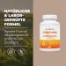 Buy Bandini Curcuma Extract - 120 Capsules (4-Month Supply) | High Curcumin & Piperine | GMO-Free Vegan Lab Tested - Buy Online on GoSupps.com