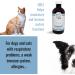 Orel (120 ML) - Natural Herbal Product (Cats and Dogs): for The Health of The Ears Eyes Nose Throat Respiratory System Immune System and infections. - Buy Online on GoSupps.com