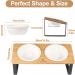 Raised Ceramic Cat Bowls with Tilted Bamboo Stand - Anti Vomiting, Whisker-Friendly, 5.5 Wide Dish for Food and Water - Indoor Iron Stand Bowl - Buy Online on GoSupps.com