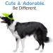 Pawaboo Adjustable Baseball Cap for Dogs - Sun Protection Hat with Ear Holes - Bright Green Large Pet Accessory - Buy Online on GoSupps.com