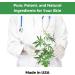 Medical Miracles Hemp Relief Cream - 6000mg Pain Relief for Neuropathy Joints & Muscles - Made in USA (4 OZ - Buy Online on GoSupps.com