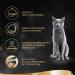 Sheba Finesse Fine Pate Mousse with Salmon - 22 x 85g Wet Cat Food Bowl | Premium International Shipping - Buy Online on GoSupps.com