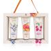 Accentra Handy care set Essential Botanics- Fruits in gift box 3x 60ml hand and nail cream in the fragrance variants raspberry peach and blueberry