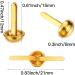 500 Pieces Paper Brass Fasteners Brass Brads Round Fasteners for Kids Craft Art Crafting School Project Decorative Scrapbooking DIY Supplies(Golden 0.3 x 0.6 Inch) Golden 0.3 x 0.6 Inch - Buy Online on GoSupps.com