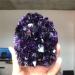 Natural geode Quartz CrystalsStones Uruguay Amethyst Cluster for Home Decoration NaturalCrystal Household qiangang (Color : 1pcs Size : 500-900g) 500-900g 1pcs - Buy Online on GoSupps.com