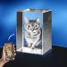 Custom Personalized Pet 3D Crystal Photo | Engraved Cat & Dog Pictures in Glass - Buy Online on GoSupps.com