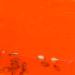 Fantasia Soap Set: 100 g Solid Soap with Grapefruit Fragrance and Soap Dish - Hand Soap Solid - Vegan Soap - Handmade Soap - Vegan Soap - Buy Online on GoSupps.com