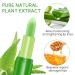 Skynest Aloe Vera Lip Balm Set - Moisturizing Lipstick & Color Change Gloss Long-Lasting & Nutritious Lip Plumper (Green) - Buy Online on GoSupps.com