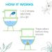 Just a Drop Toilet Odour Eliminator Eucalyptus 6 ml (Pack of 2 Total 12 ml) - Before You Go Toilet Odor! Perfect for On-the-Go Travel and Pocket Size Just One Drop toilet odor remover. Eucalyptus 3 ml (Pack of 2) - Buy Online on GoSupps.com