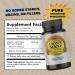 Healthy Day Supplements Lions Mane Mushroom Cognition Capsules - 120 Count | Organic Gluten Free Alpha Brain Supplement for Adults | Brain Vitamins & Focus Nootropic | Made in USA - Buy Online on GoSupps.com