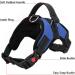Adjustable Breathable Dog Harness with Reflective Oxford Material - Easy Control Vest Harness for Small Medium Large Dogs in Blue - Buy Online on GoSupps.com