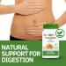 Nature's Way Fenugreek 100 Capsules - Organic Herbal Supplement - Buy Online on GoSupps.com