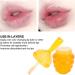  Fyearfly Honey Lip Oil Long Lasting Moisturizing Lip Gloss Moisturizing Lip Oil High Gloss Liquid Lip Balm Cute Liquid Lipstick for a - Buy Online on GoSupps.com