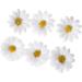 SPONGL Party Hairclip 6PCS Sun Flower Hair Barrettes for Casual Formal Festival Hair Clip Women Girl Hair Styling Tool Nonslip Flower Side Pin Yellow - Buy Online on GoSupps.com