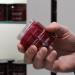Buy Daimon Barber No.1 Hair Pomade 100g - Best International Shipping & Styling Solution - Buy Online on GoSupps.com