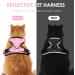 Shop Breakproof Cat Dishes & Adjustable Leash Set - Soft Reflective Kitten Vest for Small Cats (Pink XS) - International Shipping Available - Buy Online on GoSupps.com