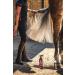 Carr & Day & Martin Canter Mane & Tail Conditioner 500ml - Nourishing Horse Grooming Product - Buy Online on GoSupps.com