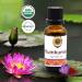 Ayumantra Organic Kumkumadi (Crocus Sativus) Oil - Beauty face Oil - 30ml - Buy Online on GoSupps.com