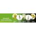 Sinupret Forte - Sinus & Immune Support 20 Tablets by Bionorica - Buy Online on GoSupps.com