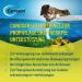 Buy Boehringer Ingelheim Canosan Cat 3 Pack | 3 x 30 Chewing Tablets 600mg | Joint Support Supplement for Cats - Shop Now! - Buy Online on GoSupps.com
