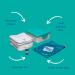 Cheeky Wipes Reusable Mini Wash Kit - White Cotton Terry Wipes for Nappy Users | Includes Soaking Box, Travel Bag, and Essential Oil Soaking Solution - Buy Online on GoSupps.com