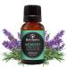 Best of Nature Memory Essential Oil Blend 100% Pure for Diffuser Aromatherapy & Focus Herbal Refreshing Scent with Lavender Rosemary Cypress & Clary Sage