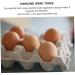 12 Egg Tray Food Tray Fridge Refrigerator Ceramic Egg Keeper Ceramic Egg Holder Bracket Ceramics - Buy Online on GoSupps.com