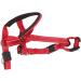 Zerodis Dog Head Halter with Safety Strap Stops Heavy Pulling On The Leash Padded Headcollar for Small Medium and Large Dog Sizes Adjustable Head Collar for Dogs (Red) L (about 6 8 Years Old) Red - Buy Online on GoSupps.com